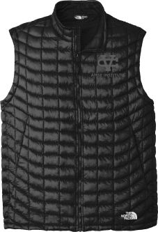 Men's North Face Vest, AMSE, Black